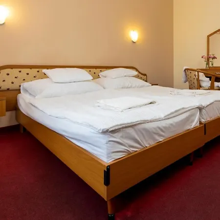 Imperial Gyogyszallo Es Gyogyfurdo Hotel Kiskoros